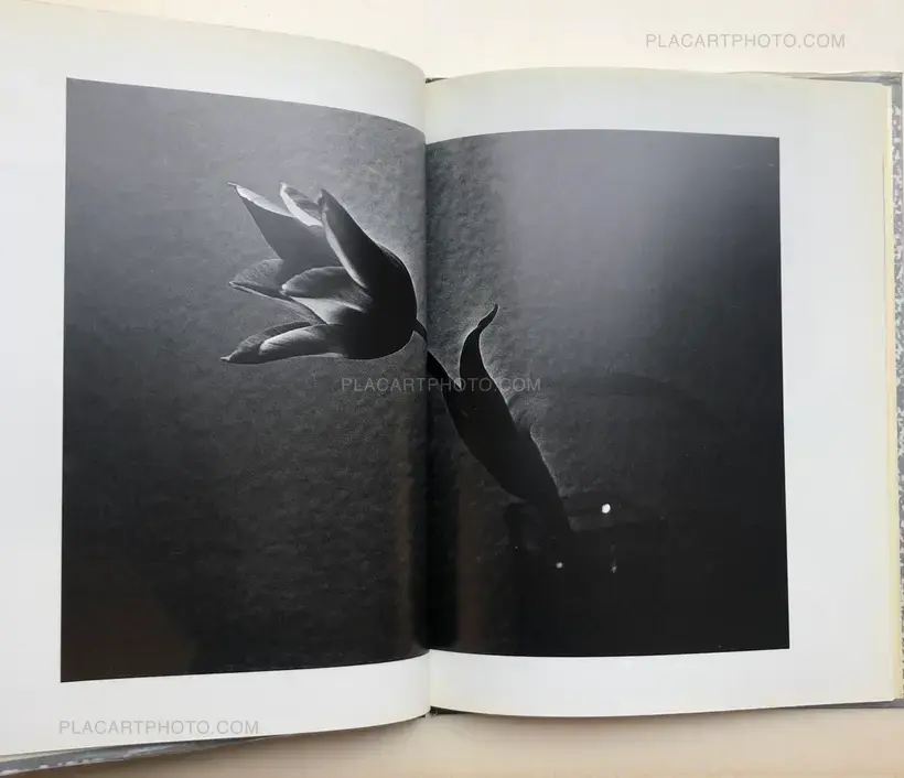 Daido Moriyama – Imitation (signed)