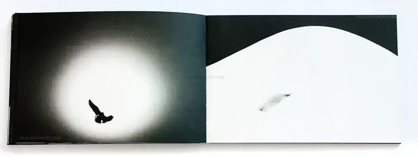 David Nissen – OUT OF THE DARKNESS (Signed and numbered with print)