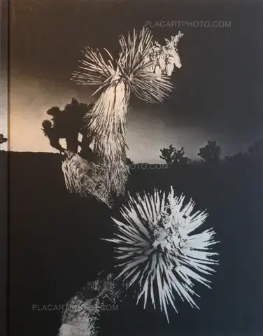Chris Shaw – Horizon Icons (Signed)