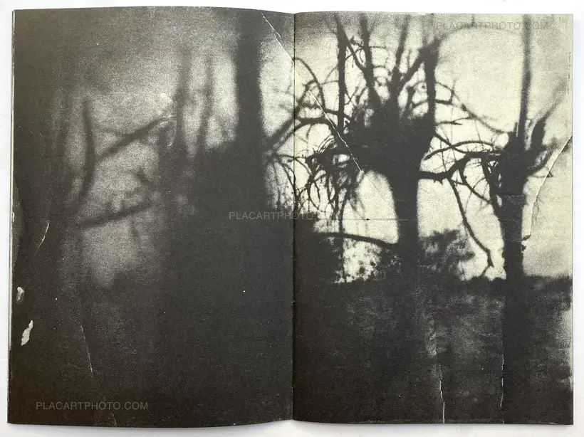 Sergej Vutuc – THERE IS SHIFTING THE SKY REPEATING STAIRSWAY, AGAIN (Signed)
