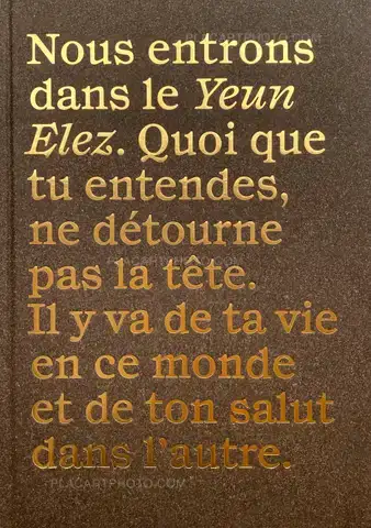 Stéphane Lavoué – LES ENCHANTEURS