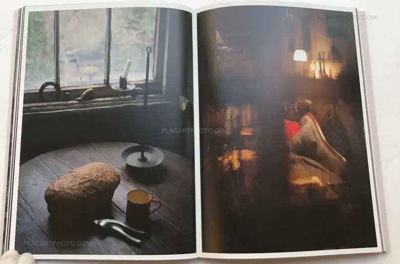 Yumiko Izu – SAUL LEITER IN STILLNESS
