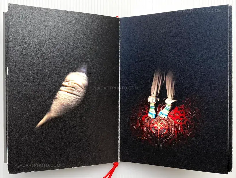 Thalia Galaponoulou – Horses Internally