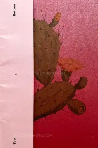 Collective – Top/Bottom