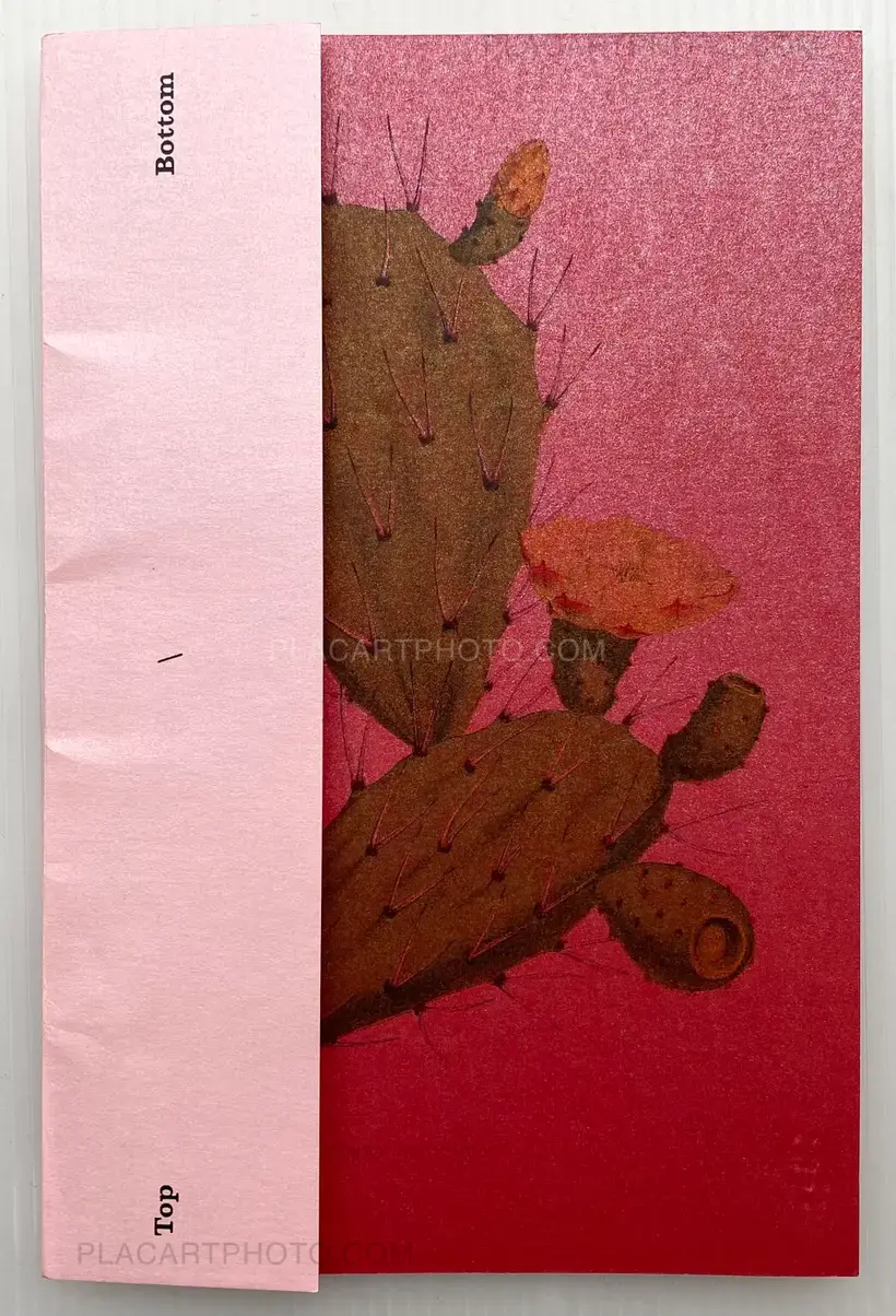 Collective – Top/Bottom