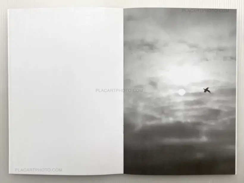 Collective – Dying Birds