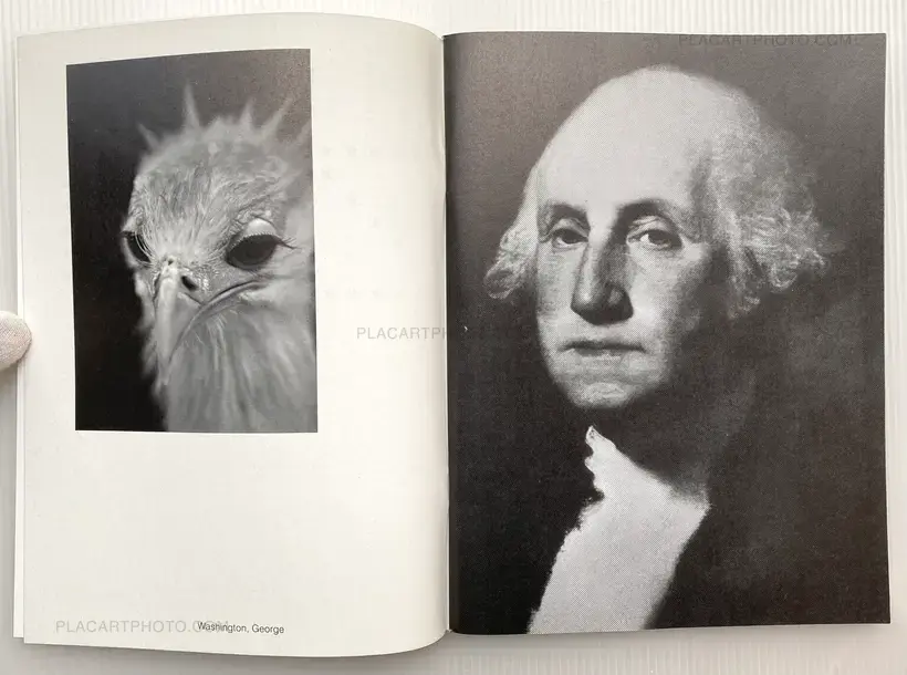Jennifer Skupin – AMERICAN ZOO