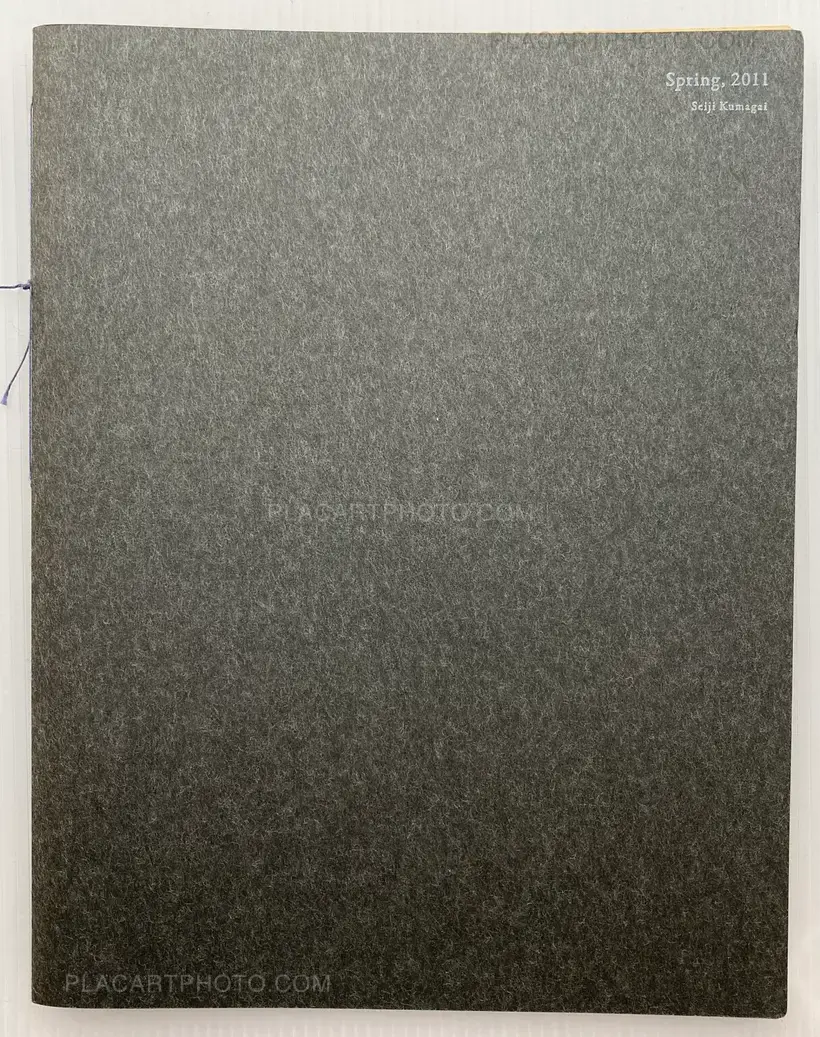 Seiji Kumagai – Spring, 2011