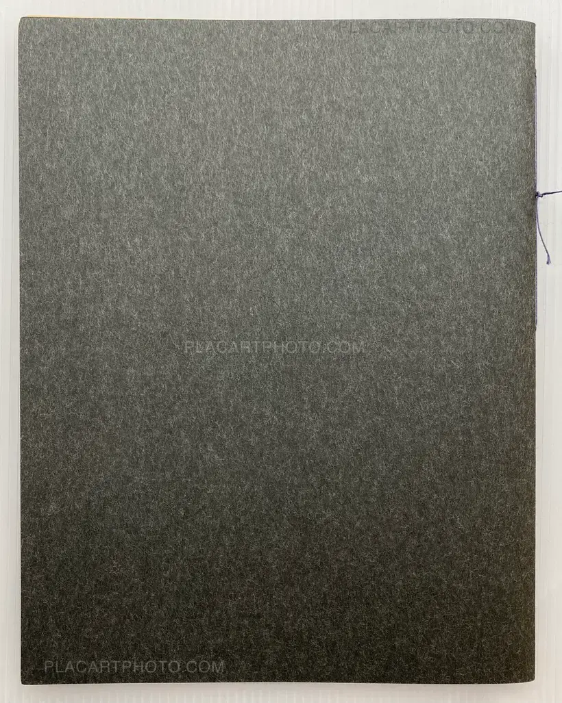 Seiji Kumagai – Spring, 2011