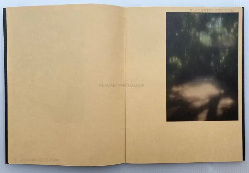 Seiji Kumagai – Spring, 2011