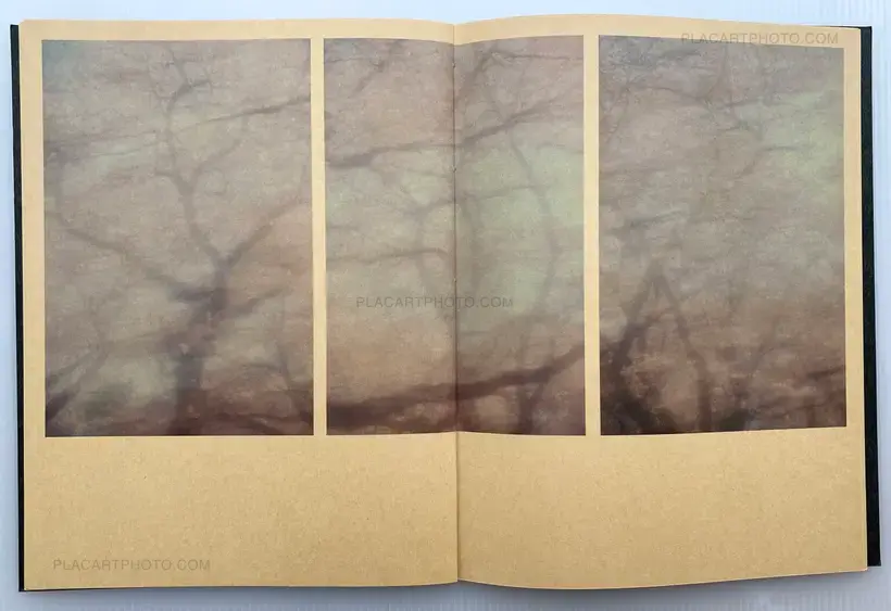 Seiji Kumagai – Spring, 2011