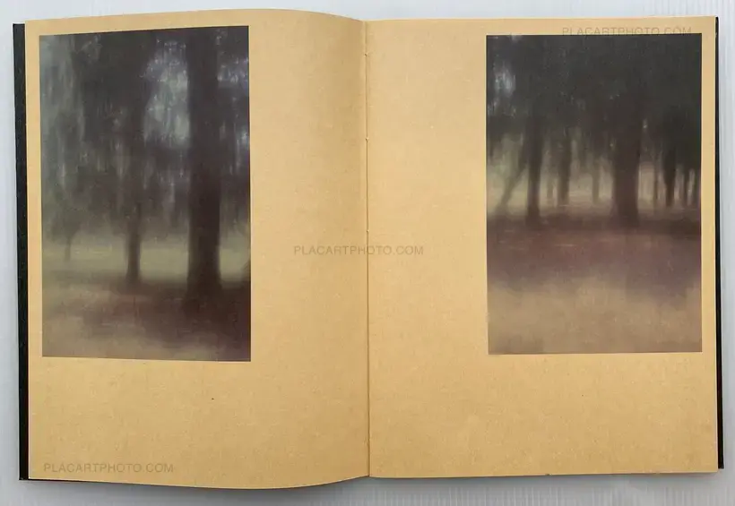 Seiji Kumagai – Spring, 2011
