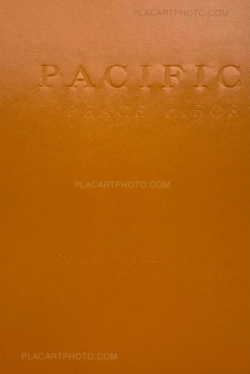 Aaron Stern – PACIFIC PEACE PIECE (Signed)