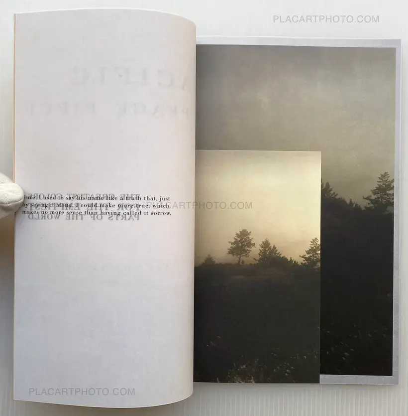 Aaron Stern – PACIFIC PEACE PIECE (Signed)