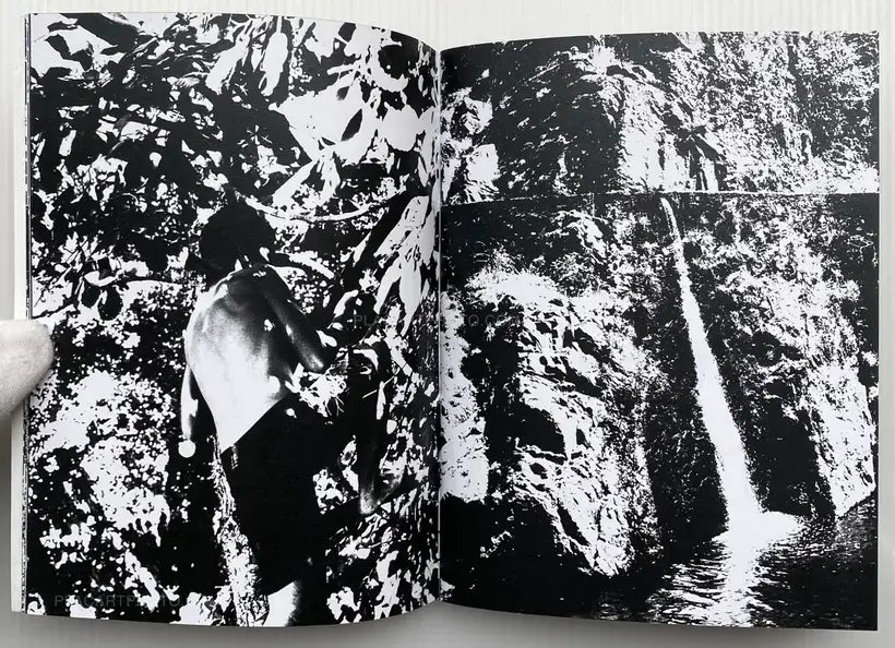 Patricia Almeida – All Beauty Must Die