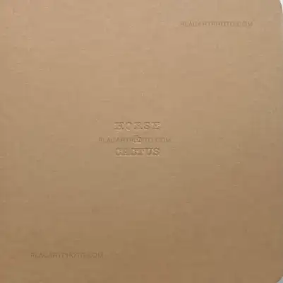 Koji Onaka – HORSE & CACTUS