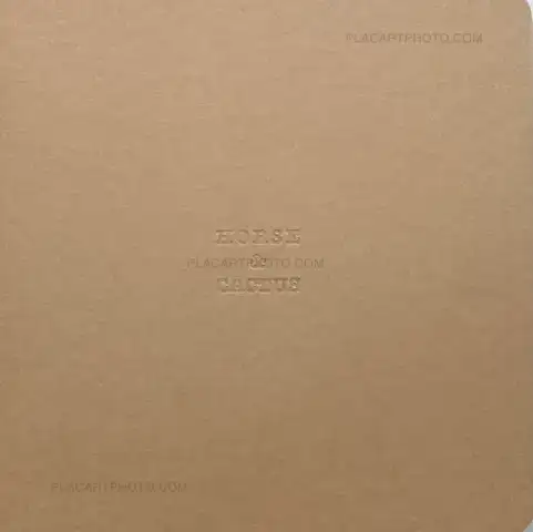 Koji Onaka – HORSE & CACTUS