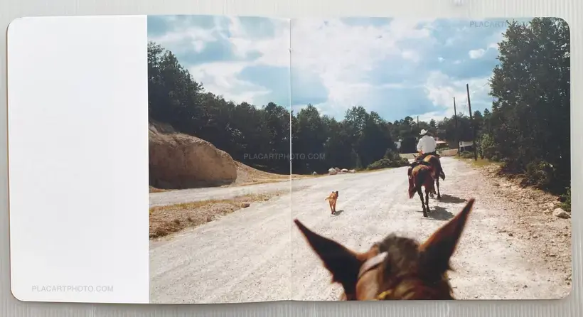Koji Onaka – HORSE & CACTUS