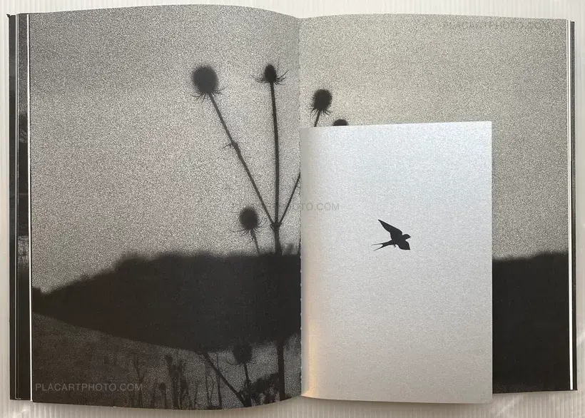 Christopher de Béthune – Invisible Waves