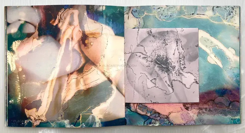 Zara Carpenter – 36 + 8 Polaroids