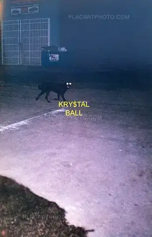 Sean Pablo – KRY$TAL BALL