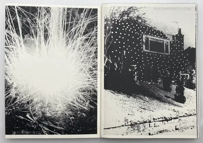 Collective – KING HILLS (Edt of 50)