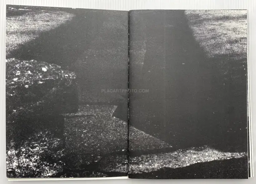 Collective – KING HILLS (Edt of 50)