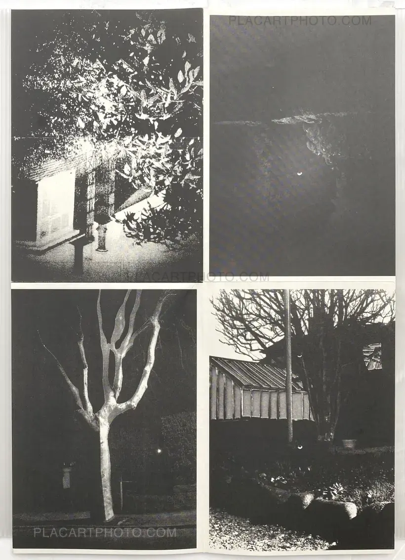 Collective – KING HILLS (Edt of 50)