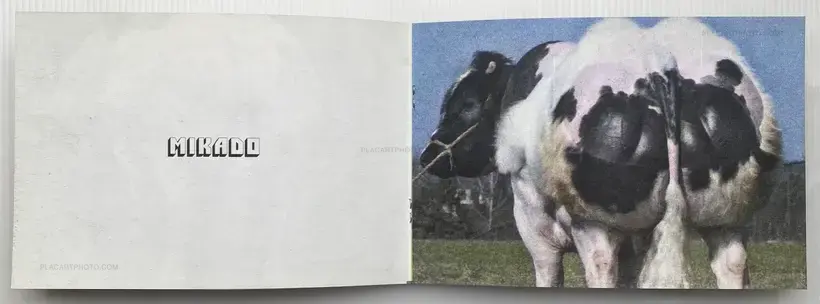 Collective – BODY BUILDING BULLS (Edt of 100)