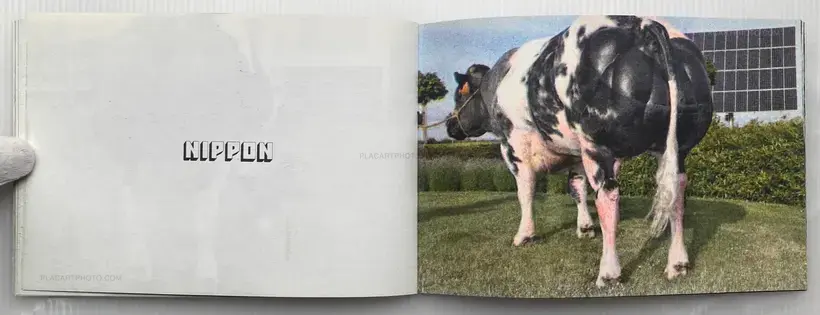 Collective – BODY BUILDING BULLS (Edt of 100)