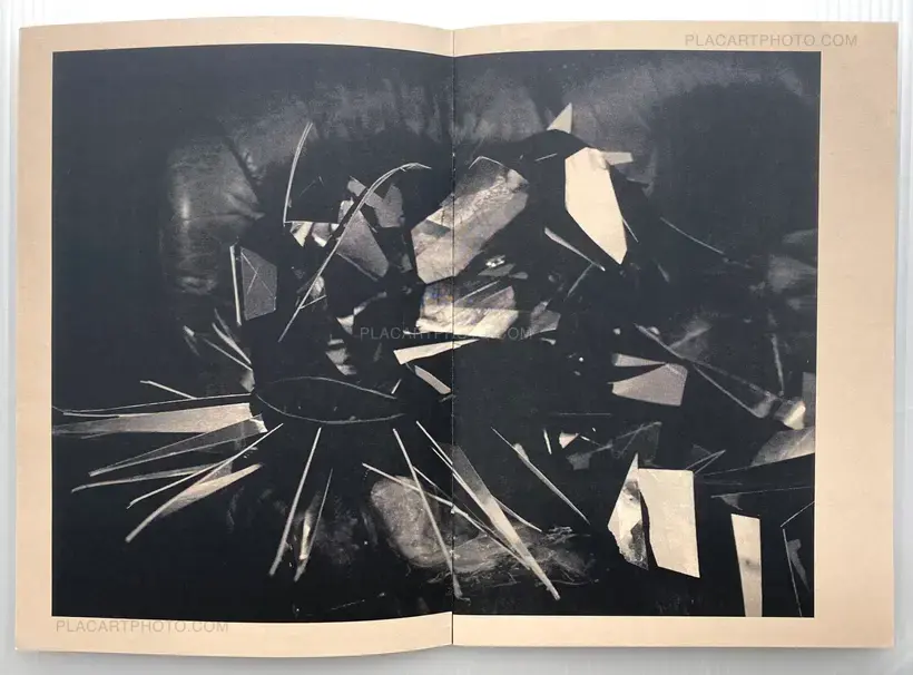 Estelle Hanania – Family zine 5/5