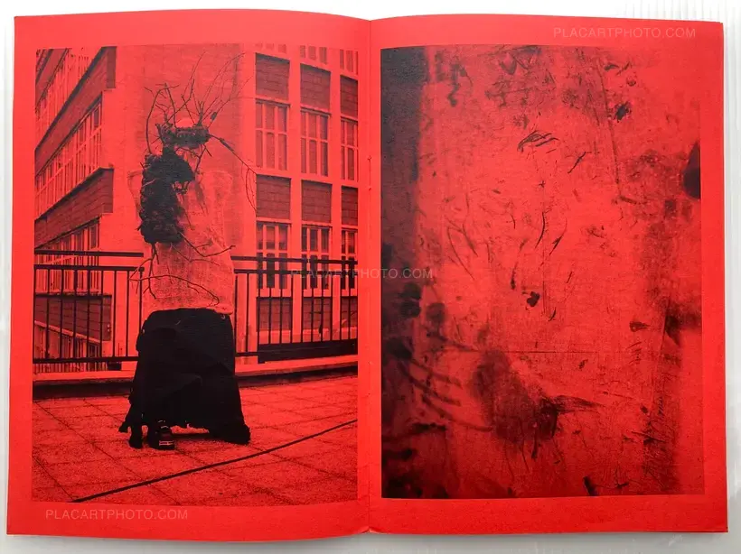 Estelle Hanania – Attila Csihar - Broken Mirror & Metamorphosis of the Tree