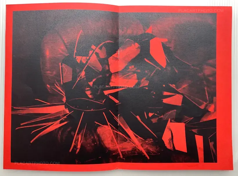 Estelle Hanania – Attila Csihar - Broken Mirror & Metamorphosis of the Tree