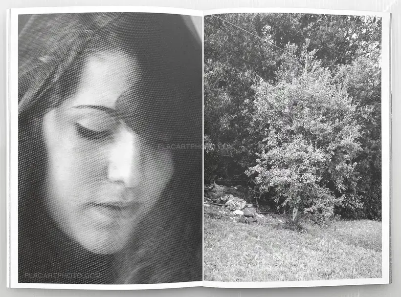 Pauline Magnenat – SUMMER LIGHTS