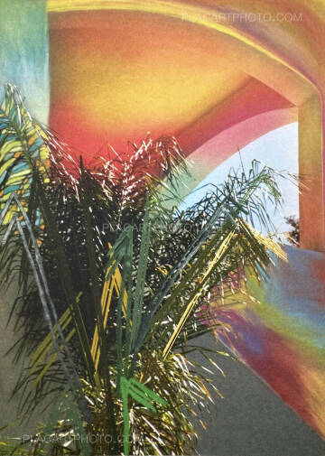 Sam Falls,Paint Paper Palms Sam Falls,Paint Paper Palms