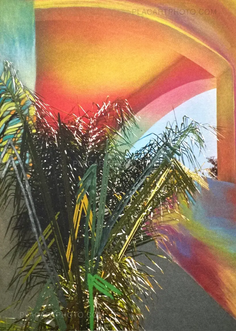 Sam Falls – Paint Paper Palms