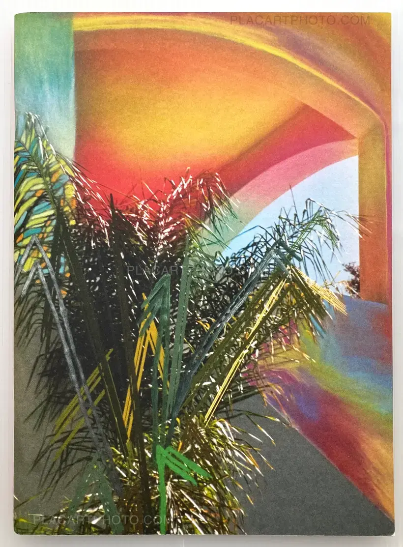 Sam Falls – Paint Paper Palms