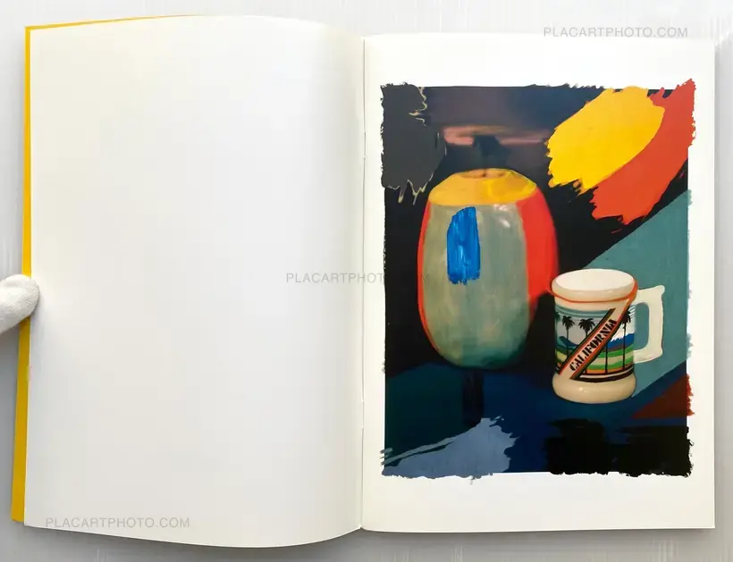 Sam Falls – Paint Paper Palms