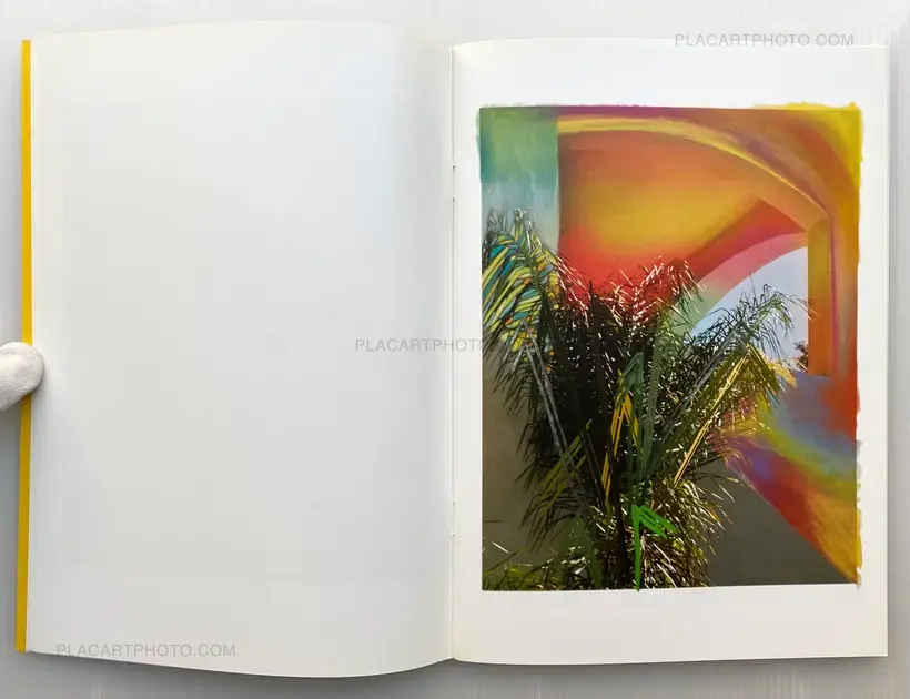 Sam Falls – Paint Paper Palms