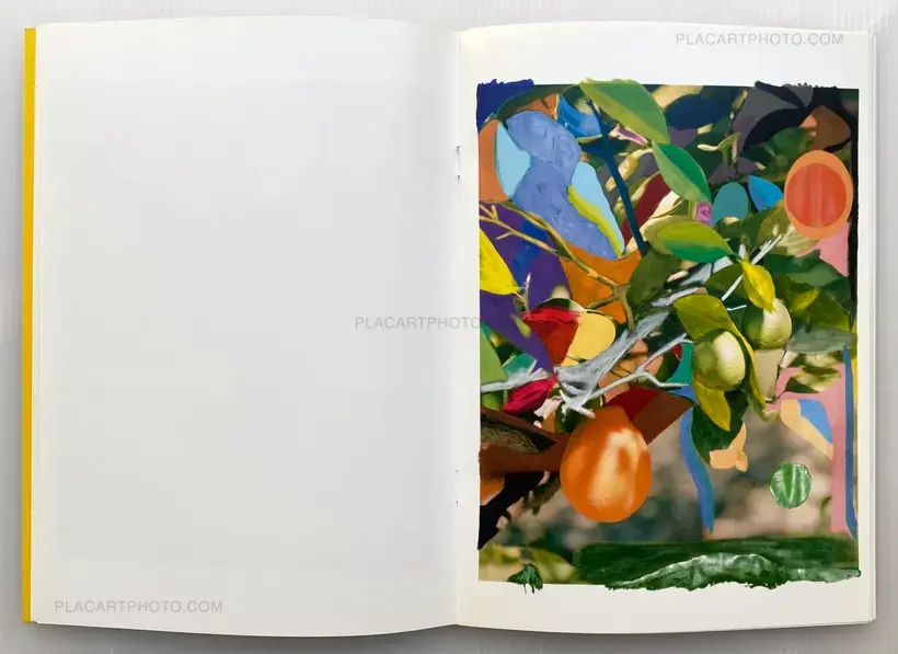 Sam Falls – Paint Paper Palms