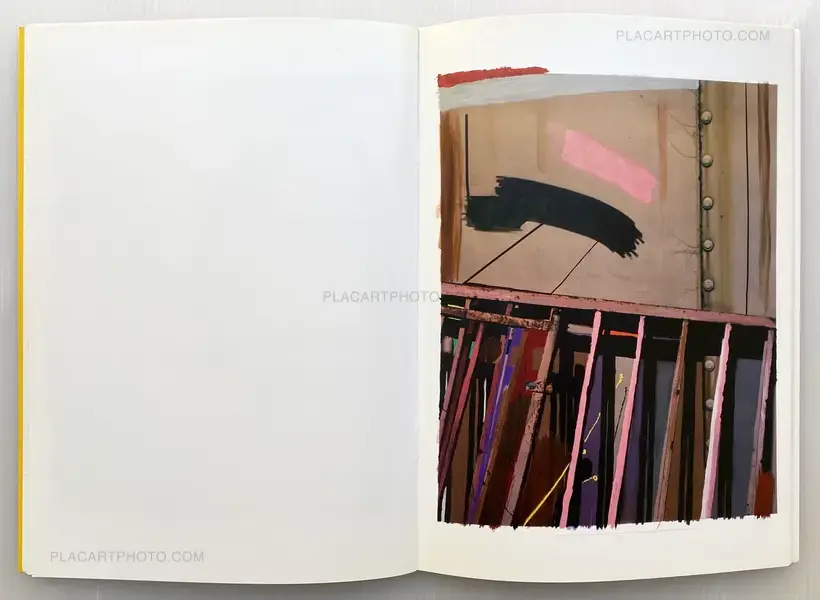Sam Falls – Paint Paper Palms