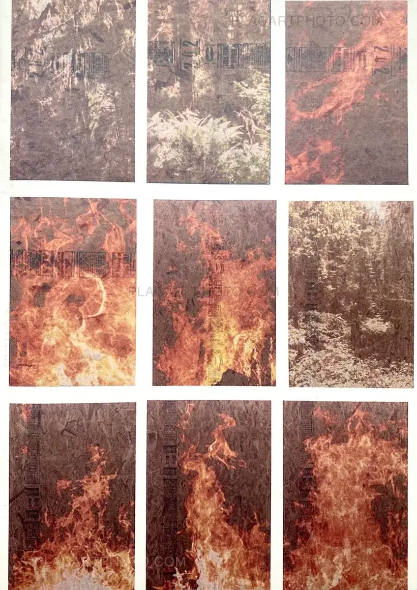 Peter Sutherland – FLAMES