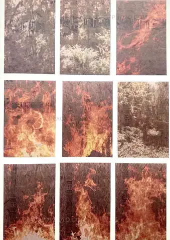 Peter Sutherland – FLAMES