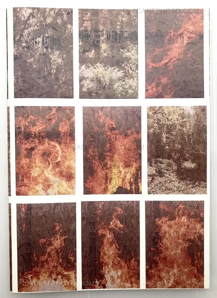 Peter Sutherland – FLAMES
