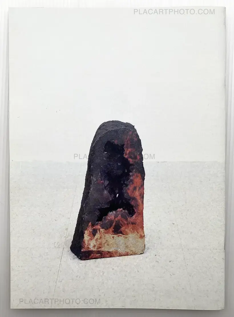 Peter Sutherland – FLAMES