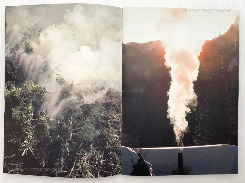 Peter Sutherland – FLAMES