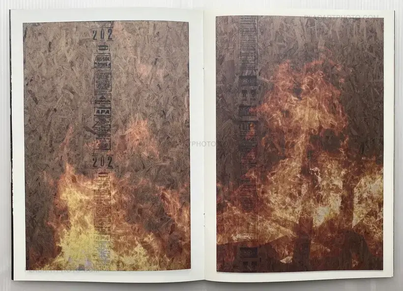 Peter Sutherland – FLAMES