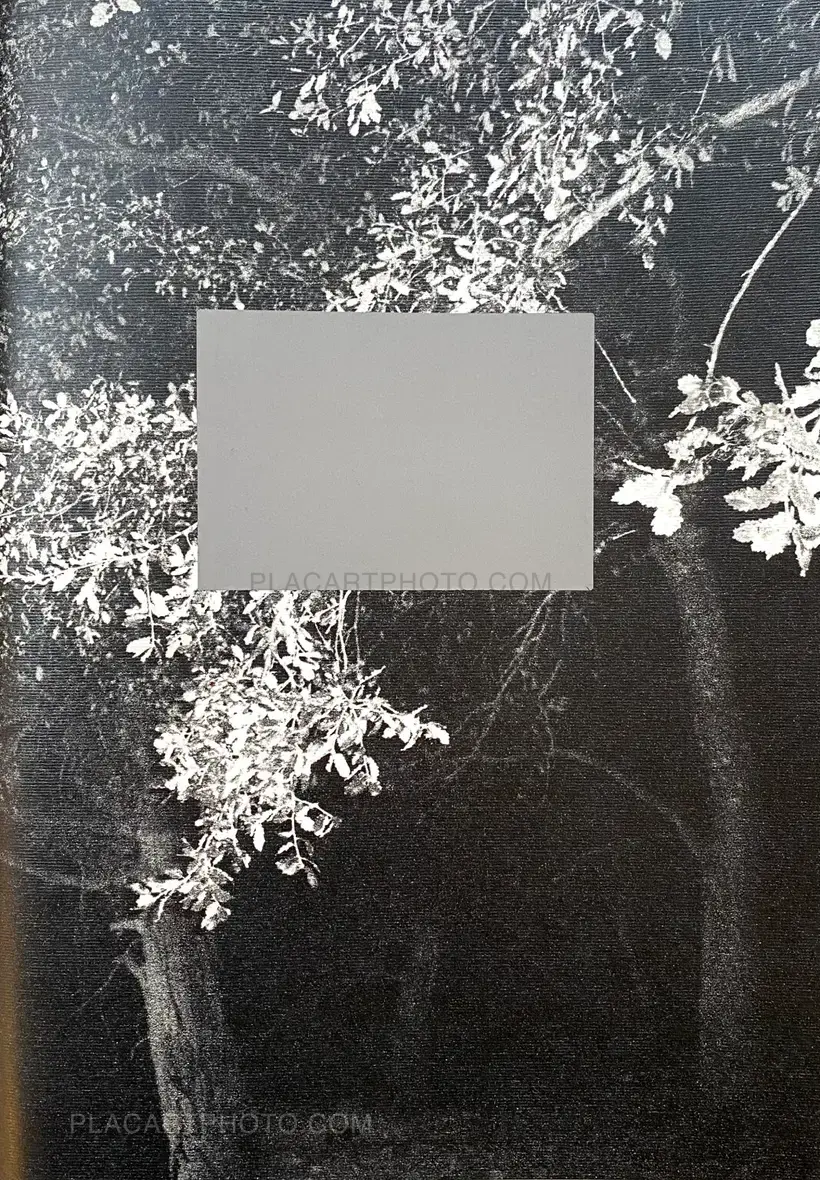 Collective – POV