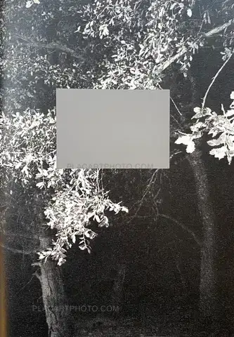 Collective – POV