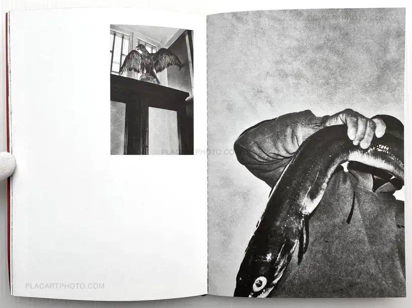 Jean-Marc Caimi & Valentina Piccinni – The Burning Plain